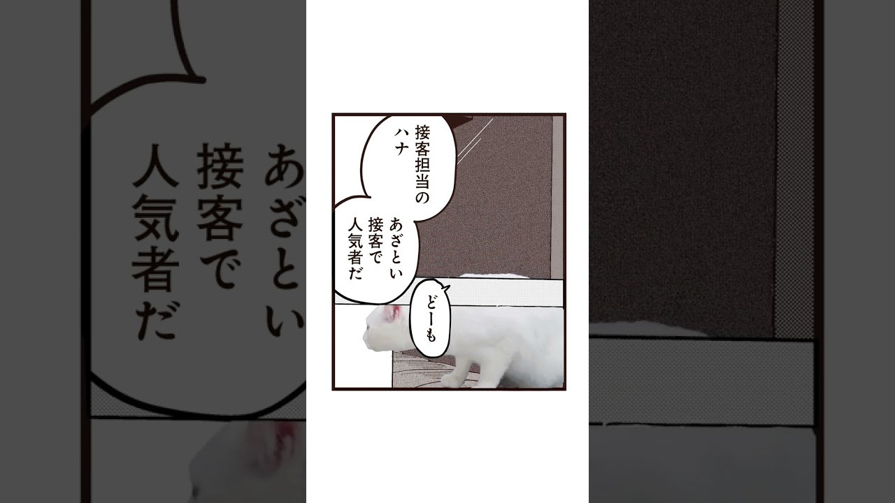 ラーメン赤猫』JC+8巻発売&アニメ化記念動画～従業員紹介～ - YouTube
