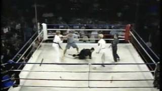 Tohkon Ryu Jujitsu demonstration