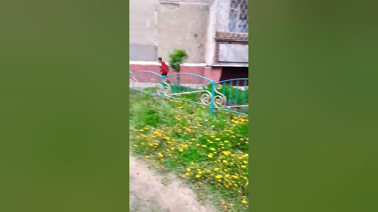 СЕМКИ ЕСТЬ - YouTube