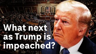 Impeachment: The Trial of President Donald J Trump will ...