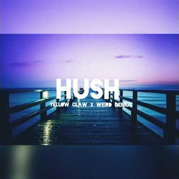 Hush - Weird Genius X Yellow Claw ft. Reikko (Story WA)