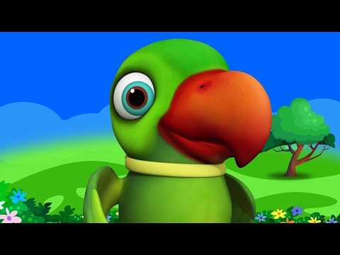 Main Tota Hindi Rhymes | मैं तोता मैं तोता | Rhymes For Kids | Nursery Poem | Baal Geet Kids