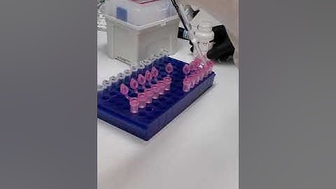 Isolating RNA from primary cells