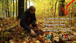 O lesní půdě a pestrosti s Pavlem Rotterem a Milanem Hronem