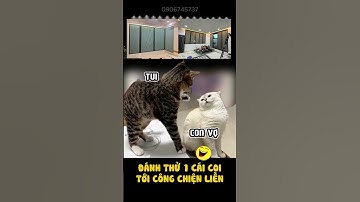 Vách Ngăn Lạnh Rèm Tổ Ong | Rèm Tổ Ong Chống Nóng, Cản Sáng  #remtoong