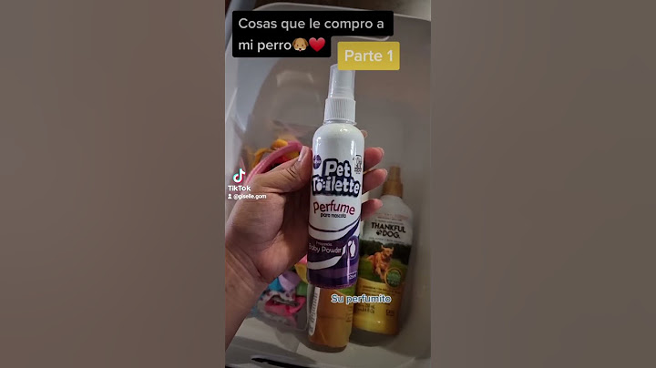 Cosas que le compro a mi perro 🐶❤️ Parte 1
