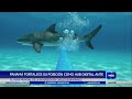 Panamá fortalece su posición como hub digital ante el auge mundial en cables submarinos