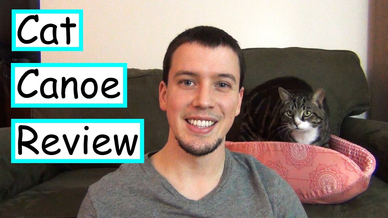 cute cats for sale Cat Canoe Review | Quality Cat Bed