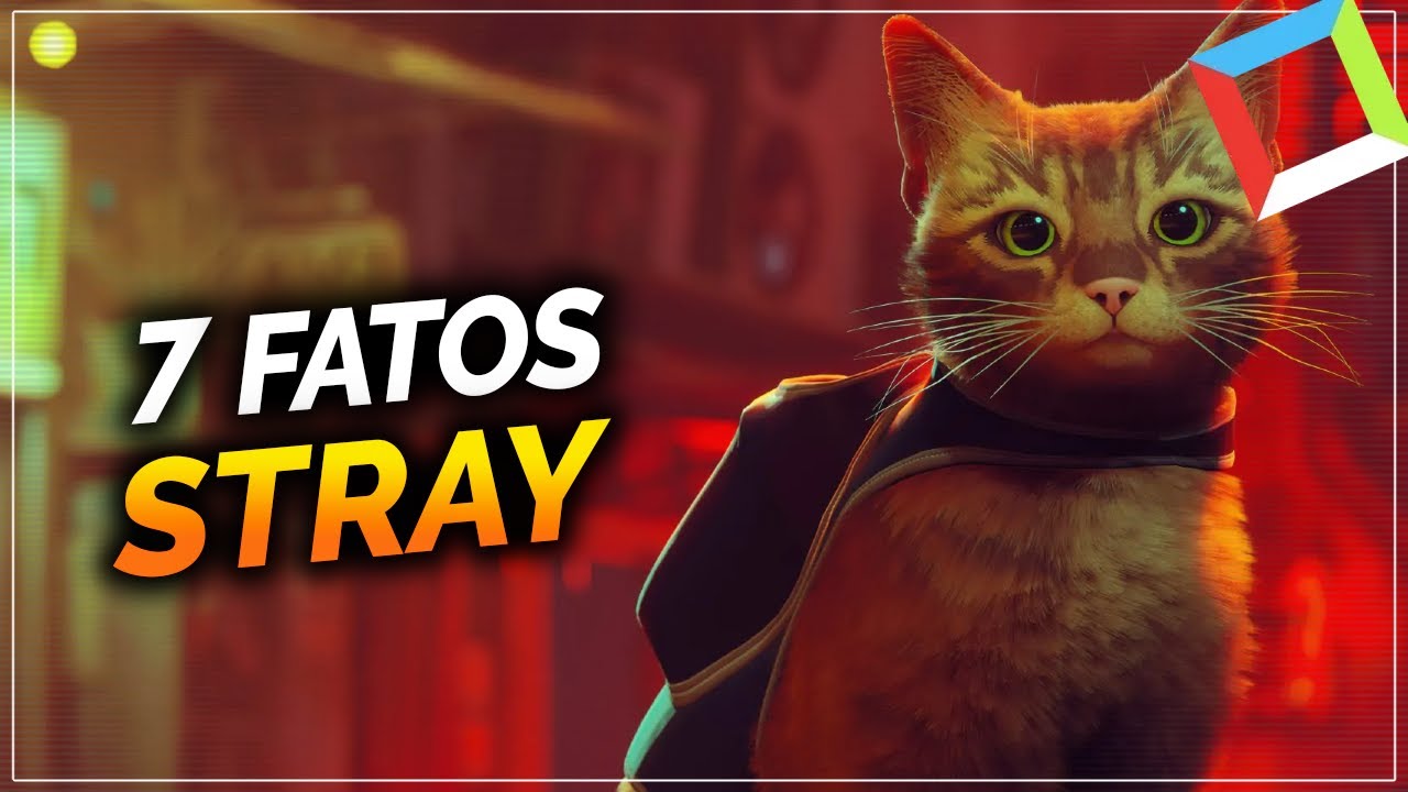 O “jogo do gato”: como Stray se tornou um dos jogos mais populares