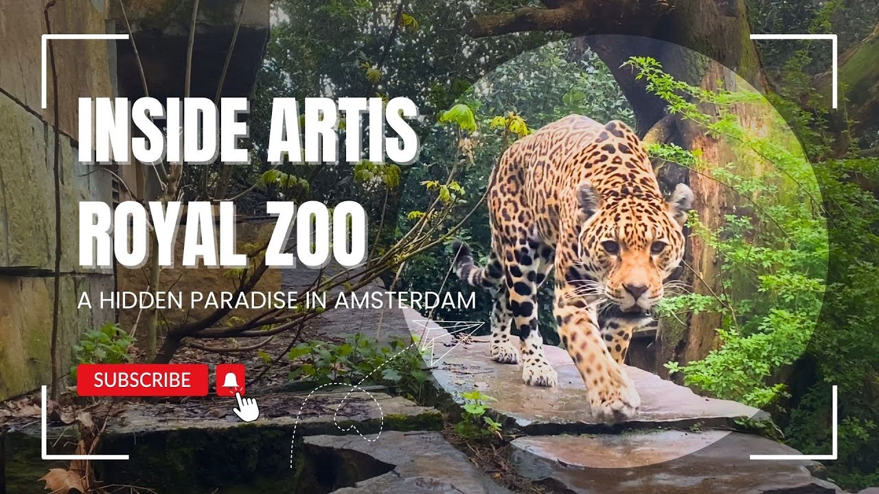 Inside Artis Royal Zoo - A Hidden Paradise in Amsterdam