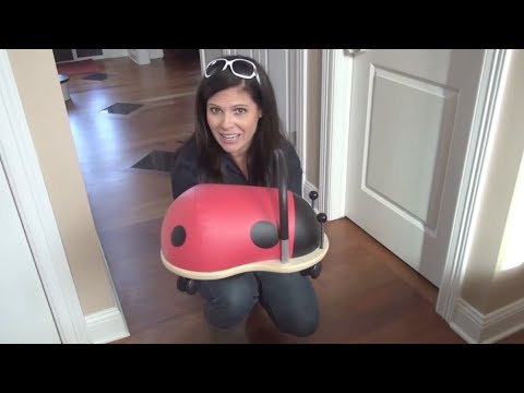 Video: Was ist ein Wheely-Bug?