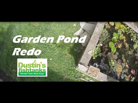 Video: How To Update An Old Garden
