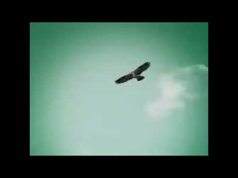 【Fav】飲むところ敵なし / リゲインCM