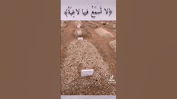 عبدالرحمن مسعد - سورة الغاشية