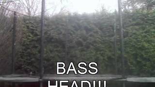 Spring sampler 2012 (Dub gainer,  Combos and other stuff)