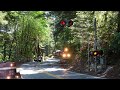 SCBG 2600 Beach Train North | Hwy 9 Railroad Crossing In Redwood Forest - Santa Cruz CA
