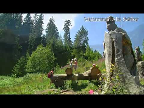 عبدالكريم عبدالقادر راحتي فيك