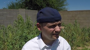 Field of Weeds (Field of Dreams Arizona Parody)