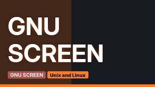 Unix & Linux: attach to tty running a process
