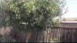 Napenda kuimba fadhili zako Fanuel Sedekia MANA worship