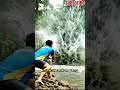LELE MONSTER INI HIDUP DI SUNGAI! 🎣🔥 #fishing #mancing#shorts