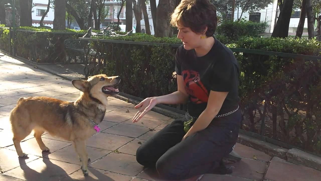 Feliz Cumpleaños masonería argentina