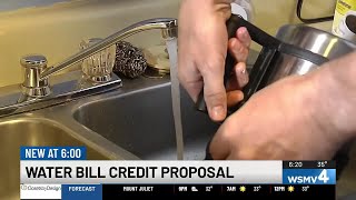 Water bill credit proposal