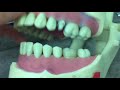 A Typical Day of A Dental Student | VLOGMAS Feature 1