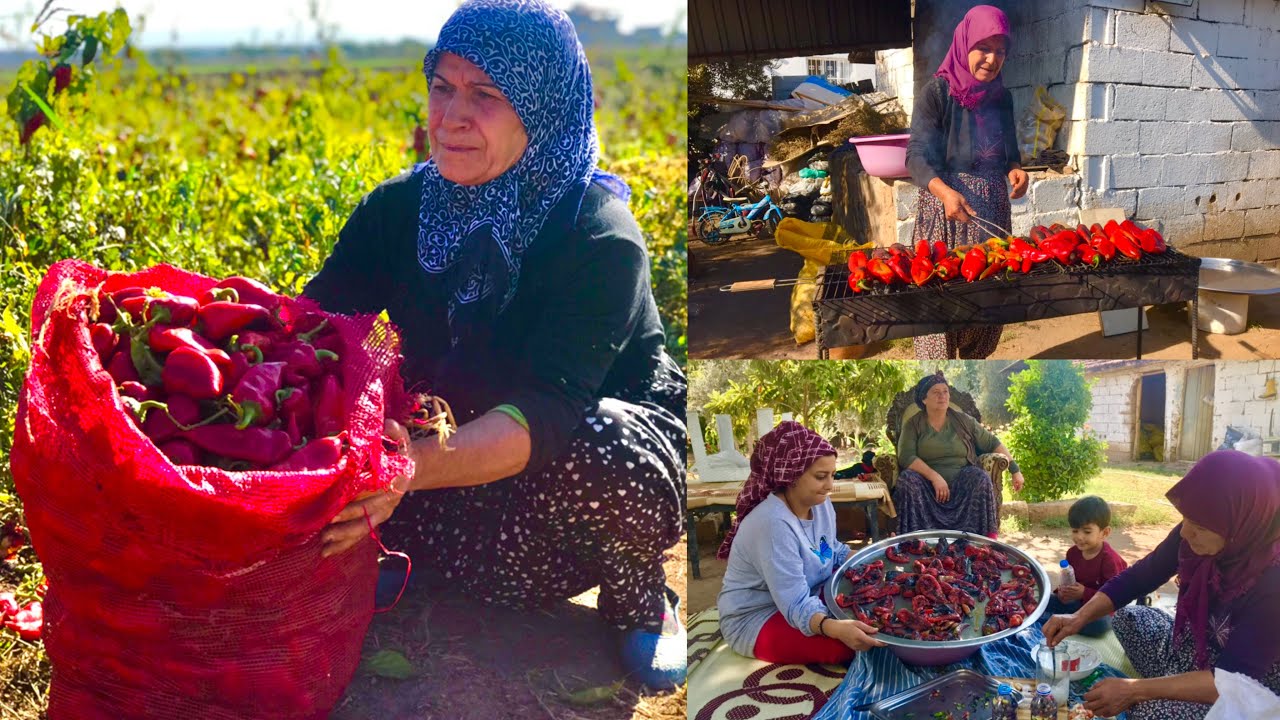 KÖY EVİMİZ KIŞ AYI LEZZETLİ YEMEKLER İÇİN ORGANİK BİBER KONSERVE TARİFİ????DOĞAL YAŞAM