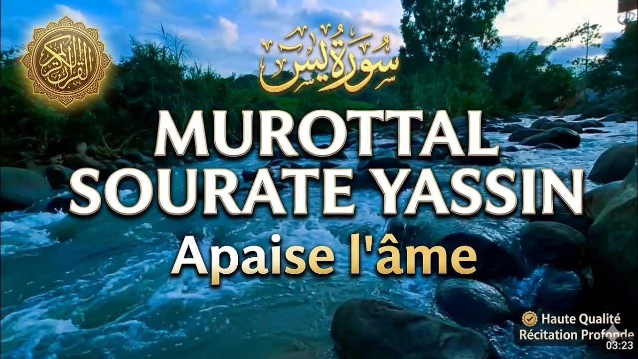 🌿 **Sourate Yasin complète | Récitation paisible et apaisante du Coran**