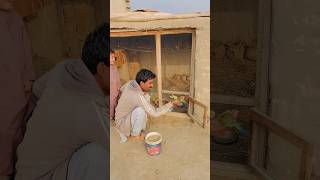 Australian Parrot Ko Pakr Lia #australianparrots #parrot #parrotlover #petlover #pets