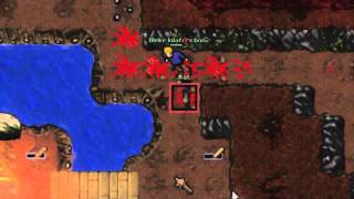 [Tibia Adventures] Killing first mob.