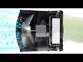 Air Shower Fan 3D Animation