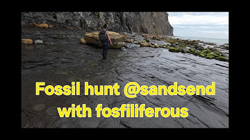 Sandsend Fossil Hunt with #fossiliferous looking for Ammonites