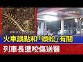 火車誤點和「蜈蚣」有關 列車長遭咬傷送醫