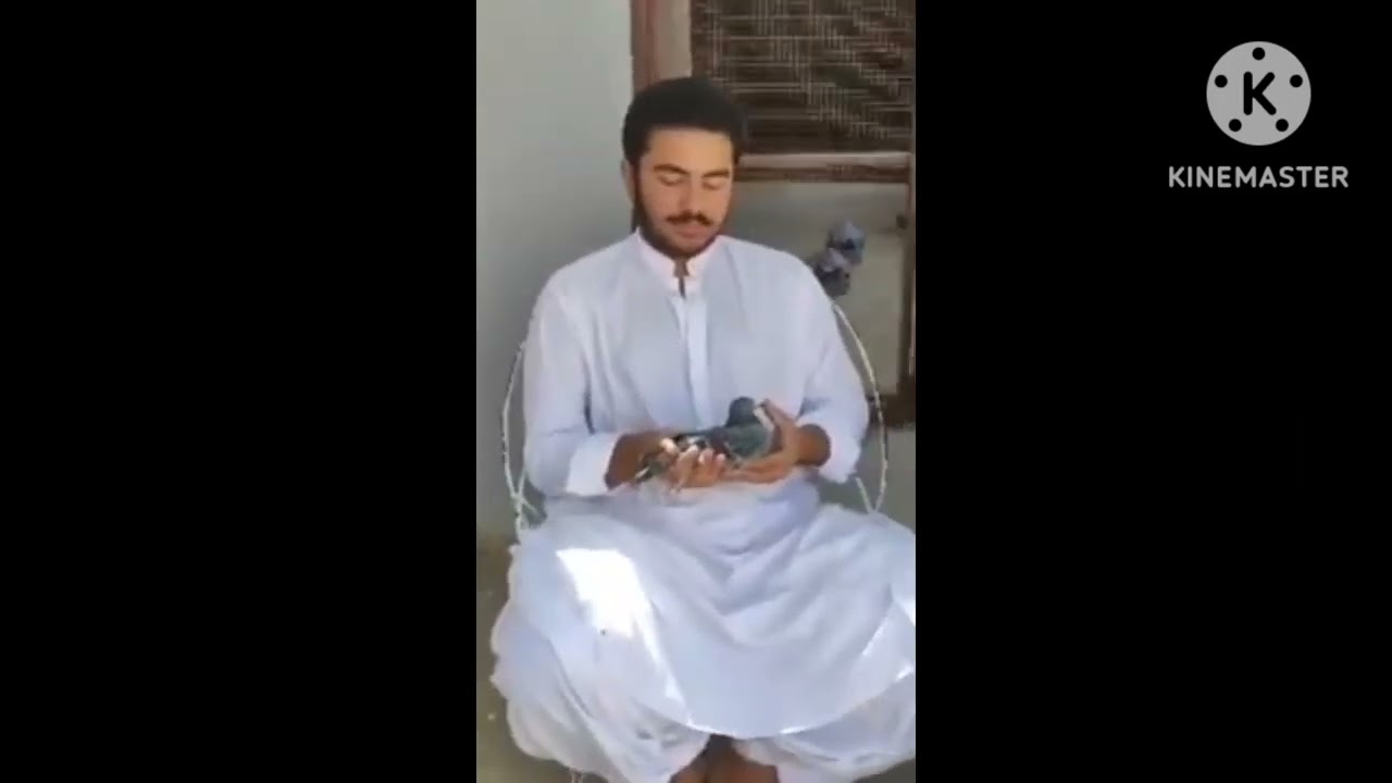 Rafey ullah Marri loft