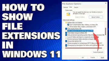 How To Show File Extensions in Windows 11 [Guide]