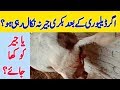 اگر بکری جیر نہ نکال رہی ہو؟ /Goat Care After Delivery / Goat Farming