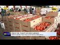 Precio del tomate seguirá subiendo: importadores piden al gobierno negociar nuevos mercado