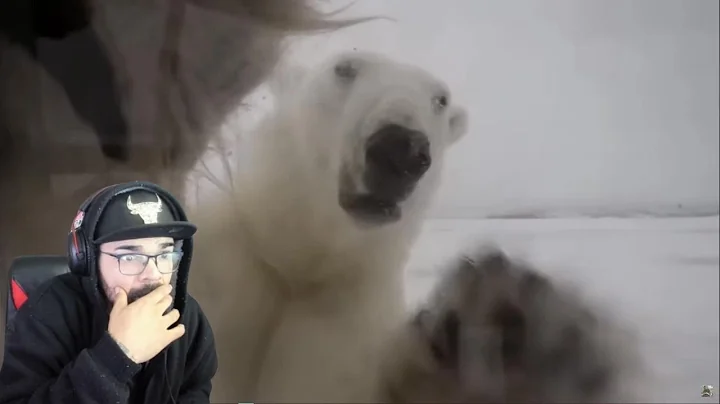 This Guy Went Face to Face With The World's Deadliest Predator