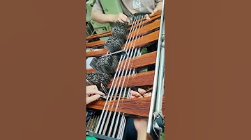 Can you thread the needle by hand?🥰#webbing #Garment #Custom