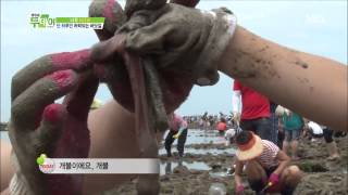 생방송 투데이 130826 #9(3)