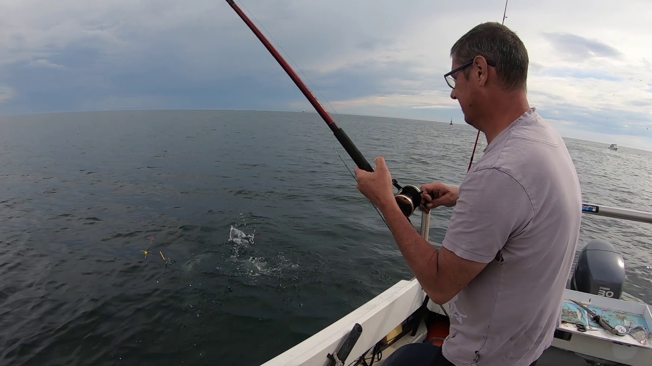 Boat fishing Swansea Bay YouTube