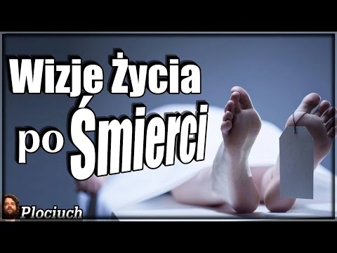 Wizje Życia po Śmierci i Zaświatów - Plociuch #471