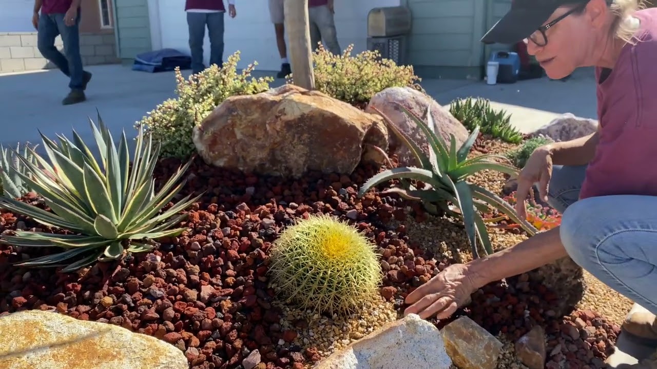 Succulent Garden Installation in Fountain Valley Grand Reveal