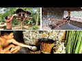 Primitive Life:Monijolo,birds house,water bucket--Ancient wood techniques thumbnail