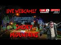 01/27/26 LIVE Webcams in the Smokies! - Explore Tennessee