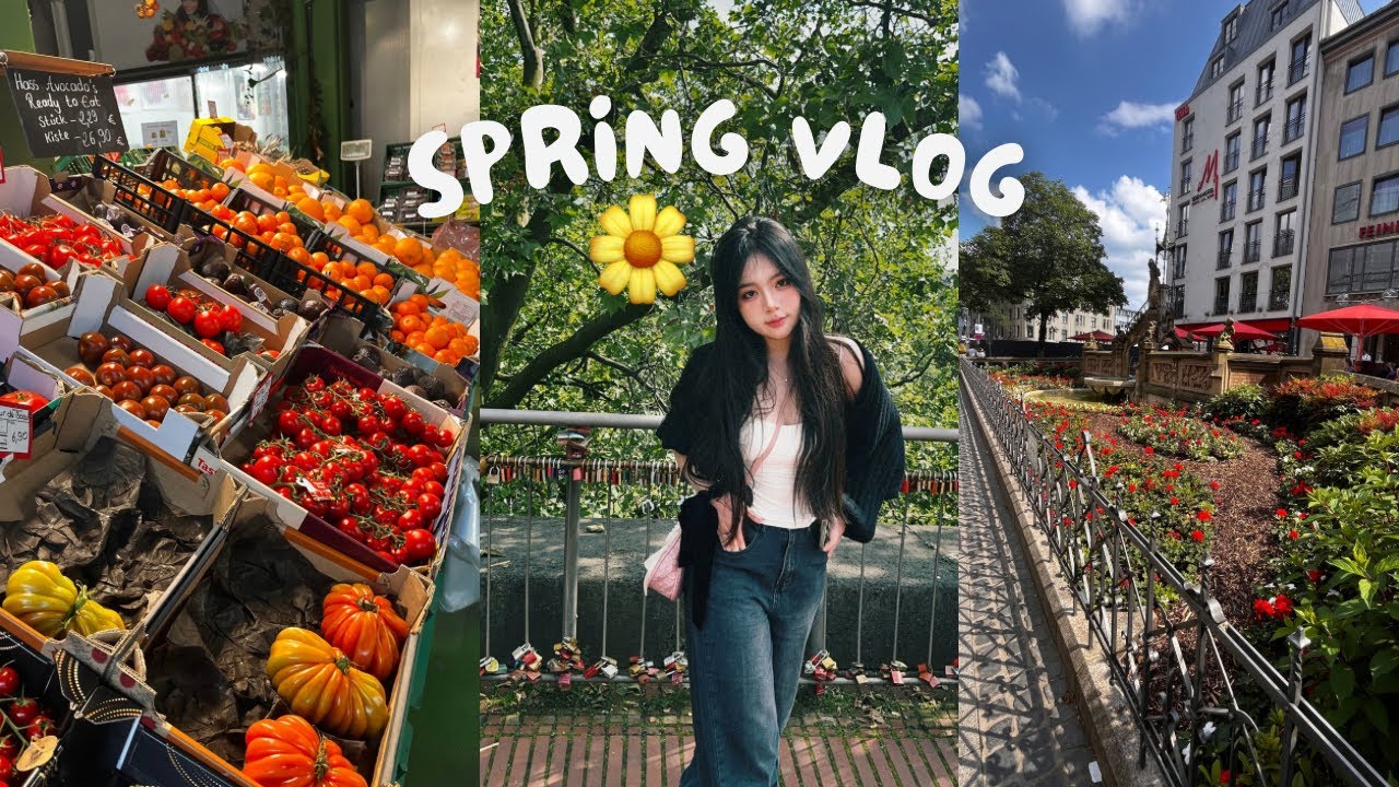 mùa xuân healing - [du học đức🇩🇪]