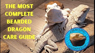 THE MOST COMPLETE BEARDED DRAGON CARE GUIDE ON YOUTUBE!!