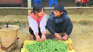 Homeless boy and girl harvest beans, sell and buy vegetable seeds - Homeless Boy